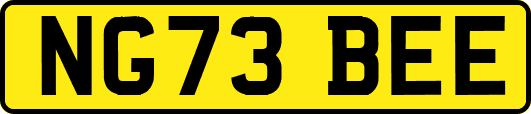 NG73BEE