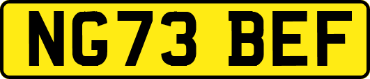 NG73BEF