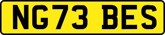 NG73BES