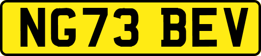 NG73BEV
