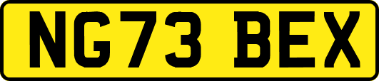NG73BEX