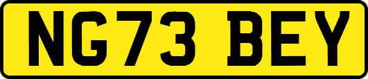 NG73BEY