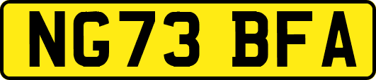 NG73BFA