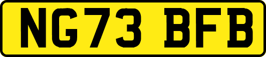 NG73BFB