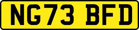 NG73BFD