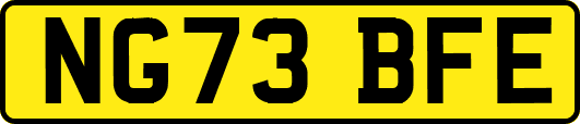 NG73BFE