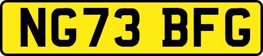 NG73BFG