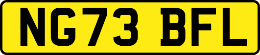 NG73BFL