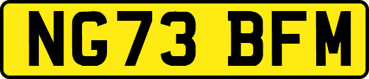 NG73BFM