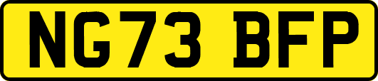 NG73BFP