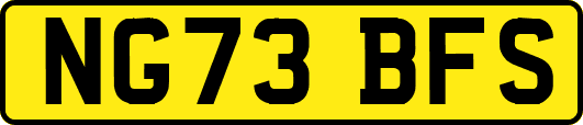 NG73BFS