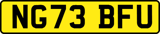 NG73BFU