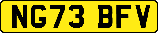 NG73BFV