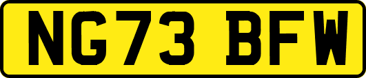 NG73BFW