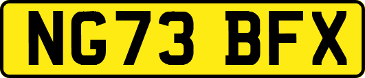NG73BFX