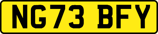 NG73BFY