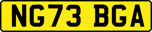NG73BGA
