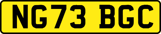 NG73BGC