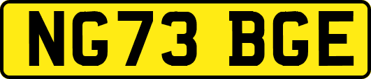 NG73BGE