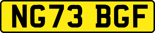 NG73BGF