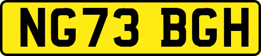 NG73BGH