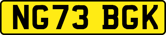 NG73BGK