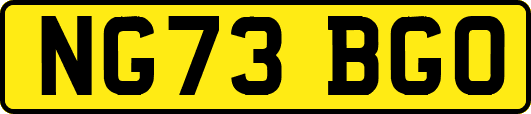 NG73BGO