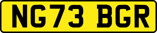 NG73BGR