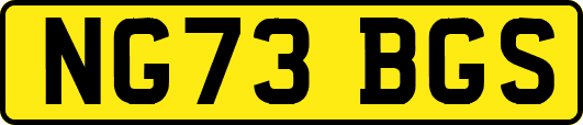 NG73BGS