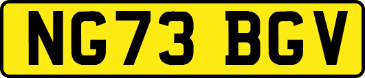 NG73BGV