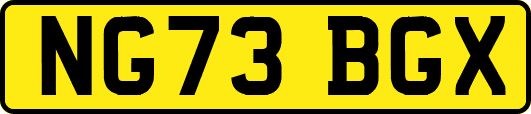 NG73BGX