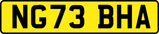 NG73BHA