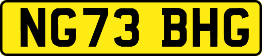 NG73BHG