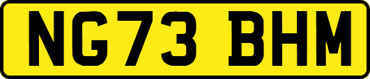 NG73BHM