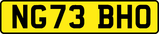 NG73BHO