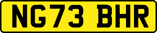 NG73BHR