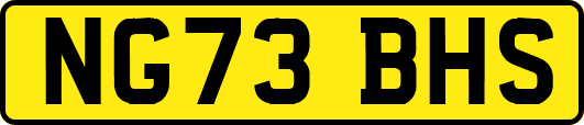 NG73BHS
