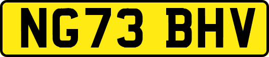 NG73BHV