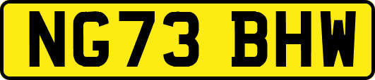 NG73BHW