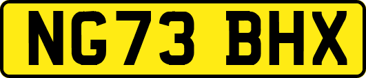 NG73BHX