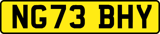 NG73BHY