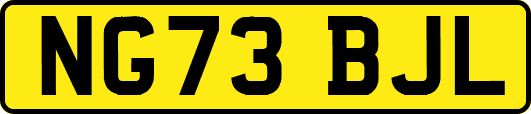 NG73BJL