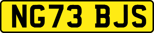 NG73BJS