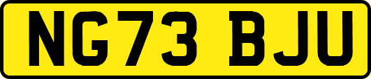 NG73BJU