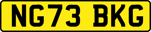 NG73BKG