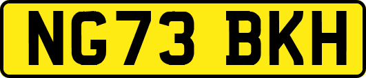 NG73BKH