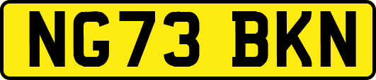 NG73BKN