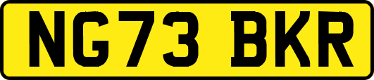 NG73BKR
