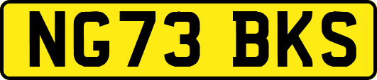 NG73BKS