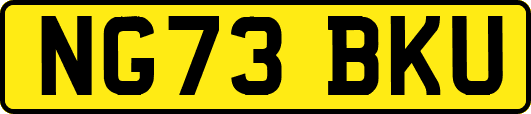 NG73BKU
